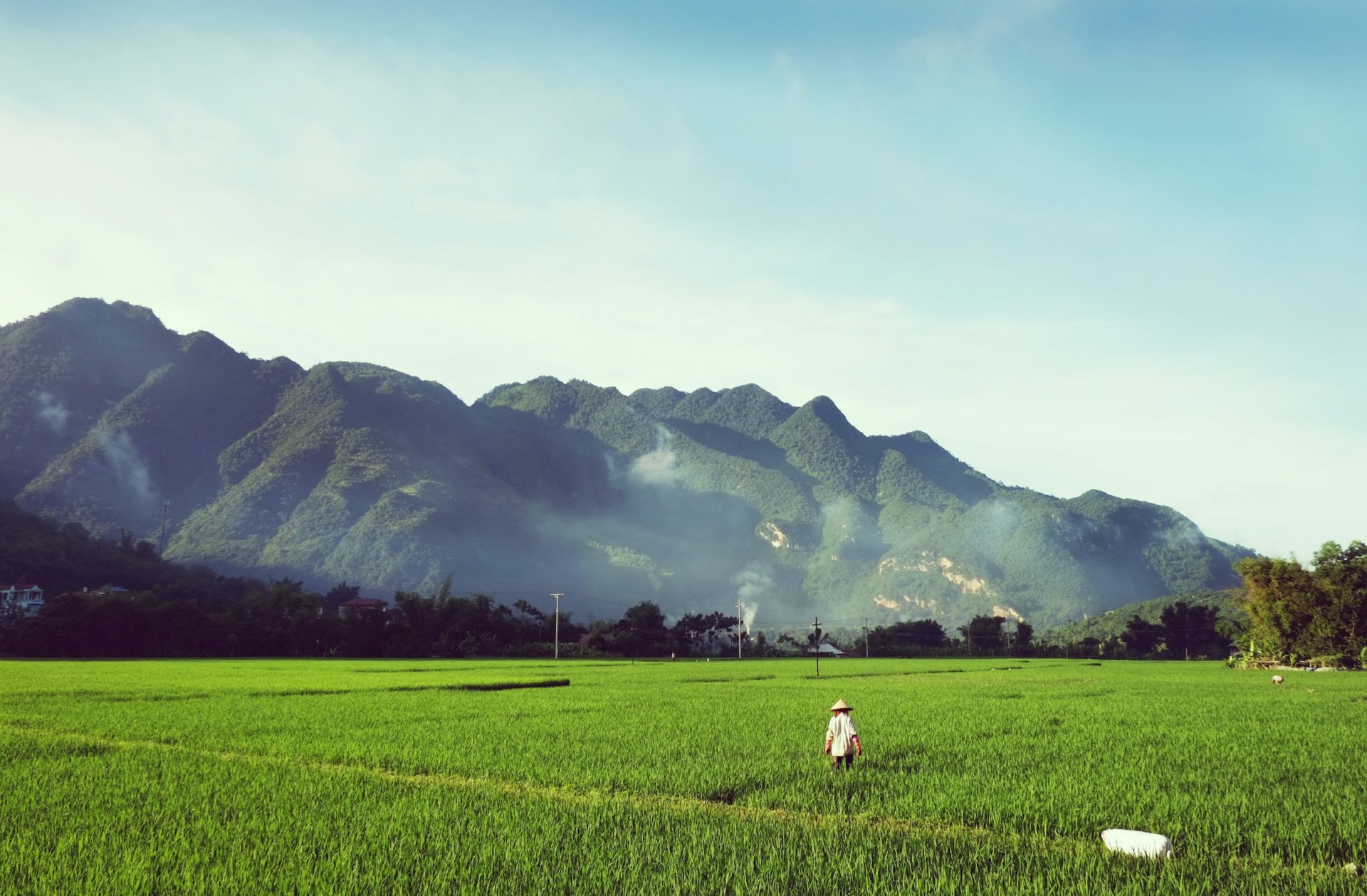 vietnam